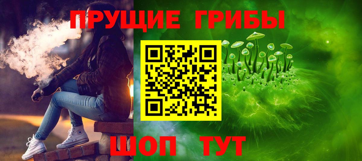 Галлюциногенные грибы Psilocybine cubensis  купить закладку  Вход с VPN  Заречный  Галлюциногенные грибы Magic Shrooms 